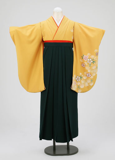 着物・袴セット/黄かすみ桜