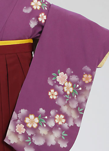 着物・袴セット/紫かすみ桜
