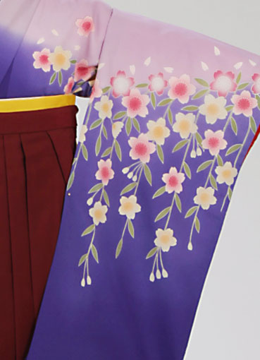 着物・袴セット/紫ぼかし桜
