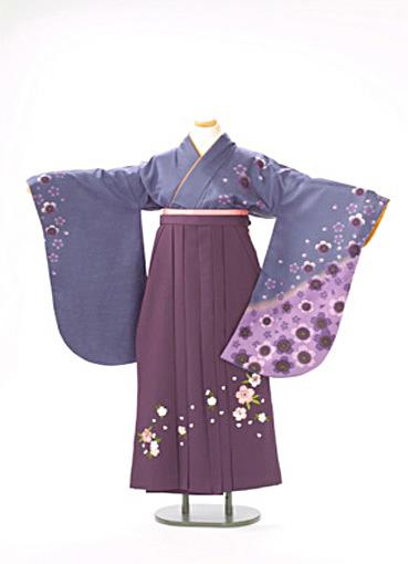 紫グレー　桜の舞