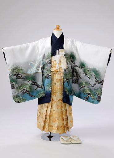 白/紺　金の虎